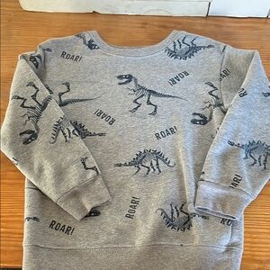 Gray Dinosaur Print Kids Sweatshirt